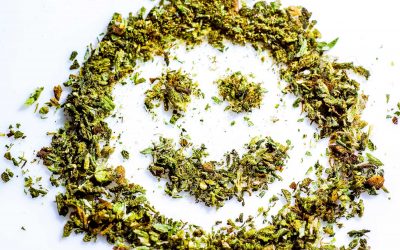 What is Cannabis? (Marijuana Or Weed)