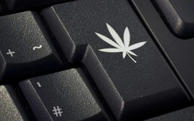 Is It Safe to Buy Weed Online in Canada?
