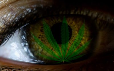 How Cannabis Affects the Eyes