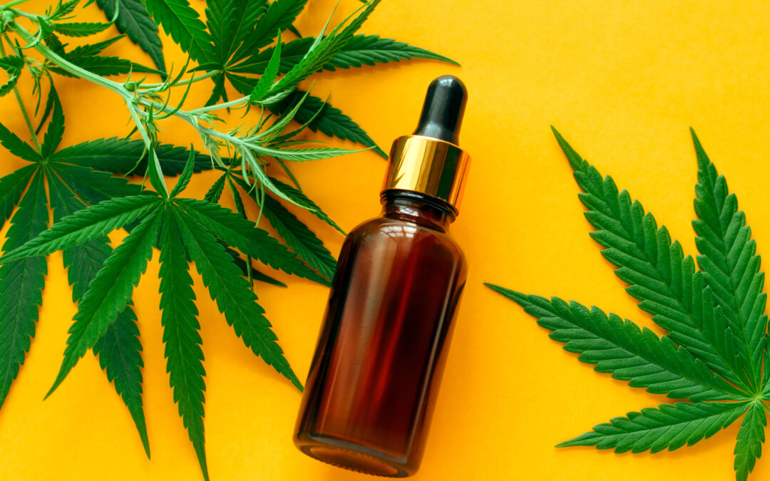 Cannabis Massage Oil For Muscle Pain Relief
