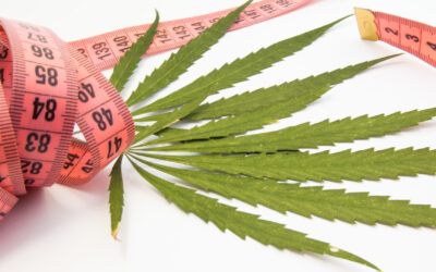 How Marijuana Can Help With Weight Loss