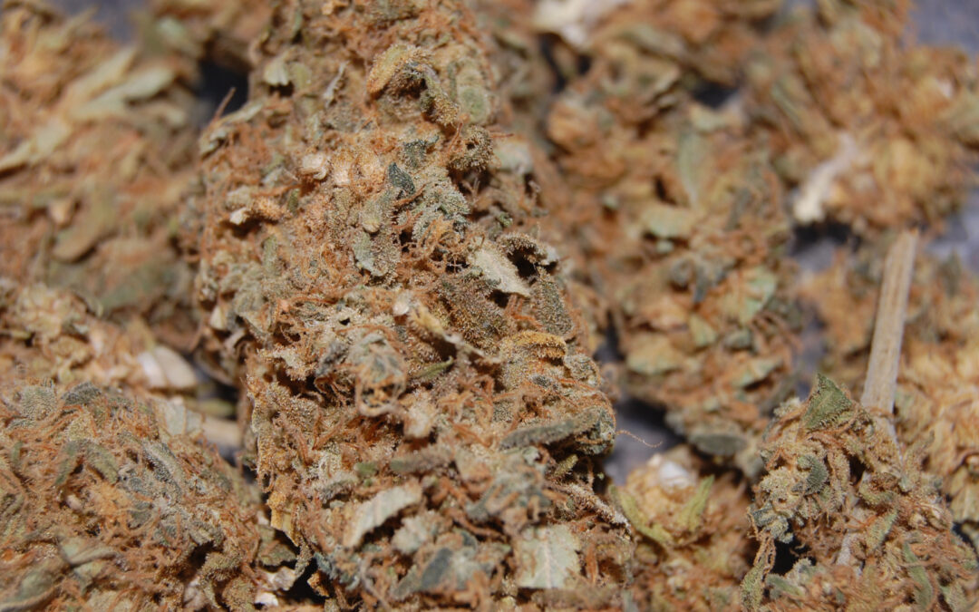 What is Reggie Weed & Grit Weed: Avoid it Or Smoke It?