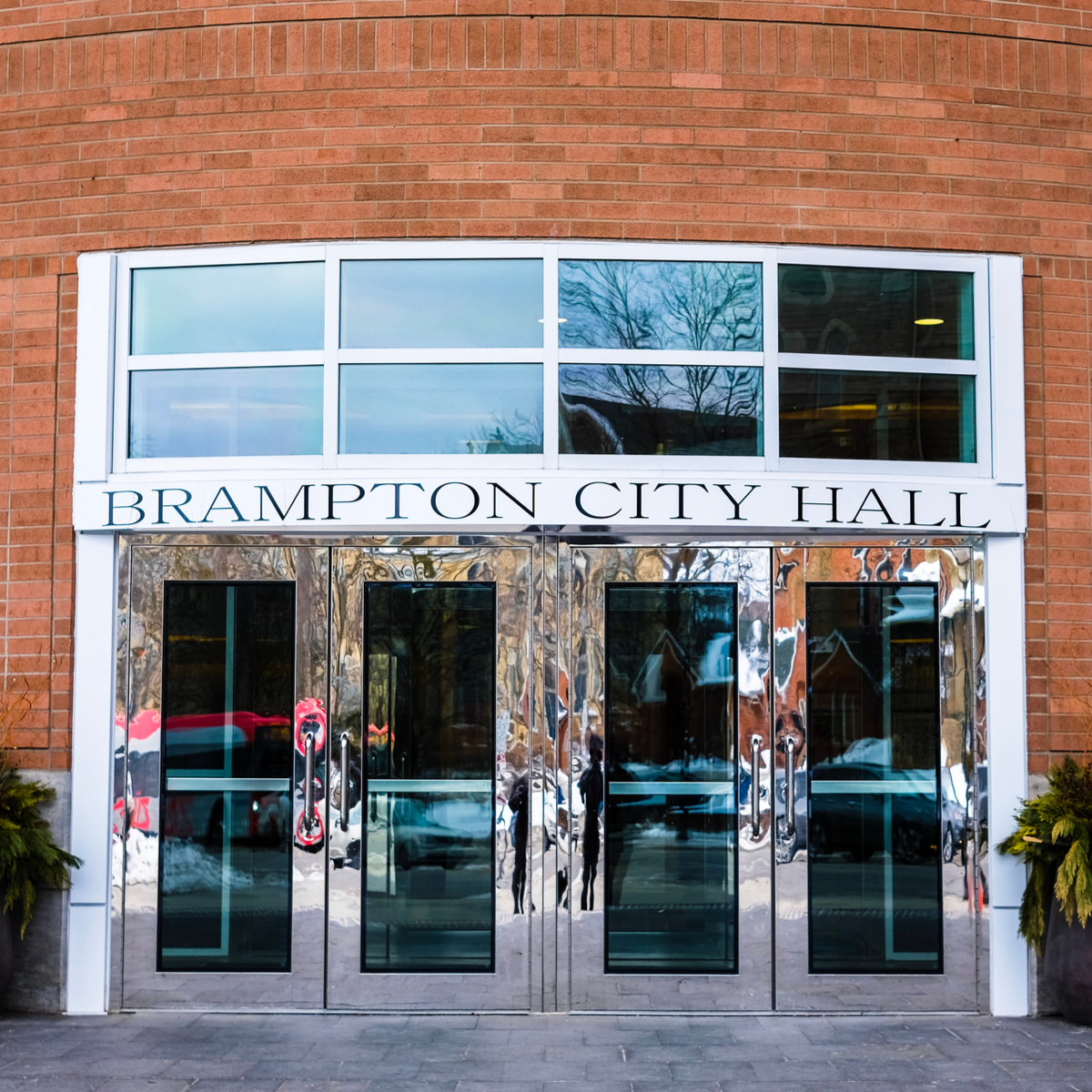 Buy Weed In Brampton City Hall