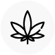 Haute Health Cannabis Flowers