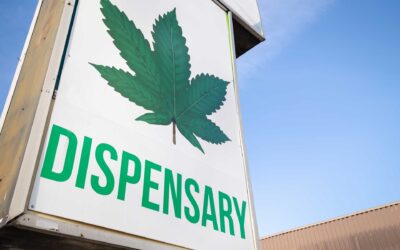 10 Reasons Cannabis Dispensaries Are Better Than Dealers