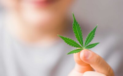 The Importance of Keeping Cannabis Away From Kids