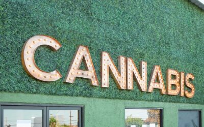 10 Questions to Answer Before Starting A Cannabis Business