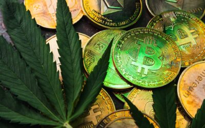 Buy Weed Online Using Bitcoin & Cryptocurrencies