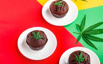 Which Foods to Avoid When You’re Smoking or Eating Cannabis