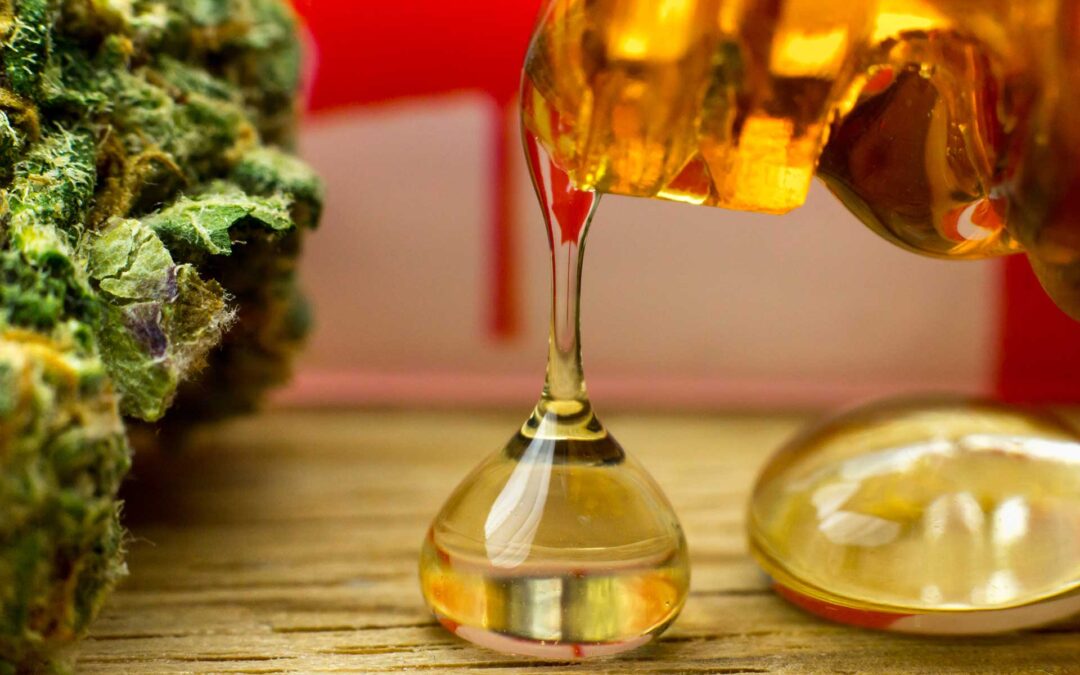 Concentrates vs Extracts: Are They The Same Thing?