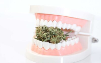 Effects of Marijuana On Oral Health